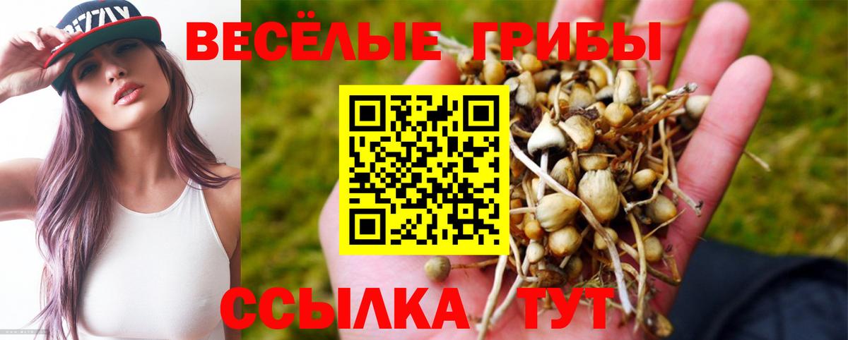 Псилоцибиновые грибы ЛСД  Галлюциногенные грибы прущие грибы  Тюмень  Вход с VPN 